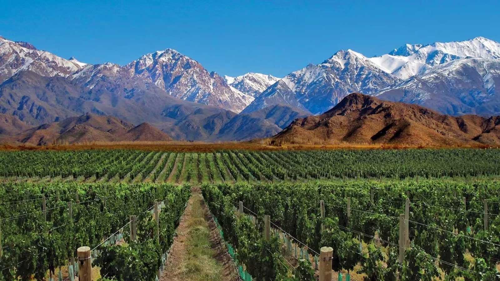 Mendoza